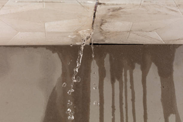 Professional Flood Damage Cleanup technician working in Scotts Hill, TN